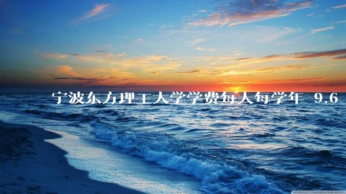 宁波东方理工大学学费每人每学年 9.6 万，为什么会这么贵？