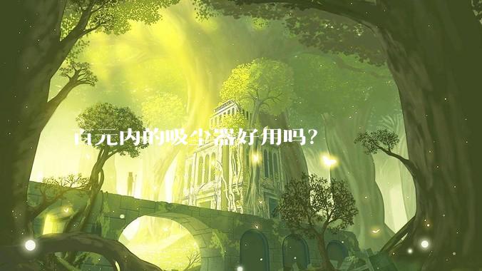 百元内的吸尘器好用吗？