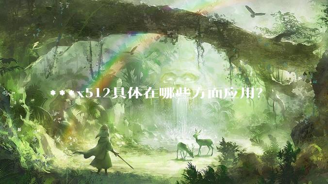 ***x512具体在哪些方面应用？